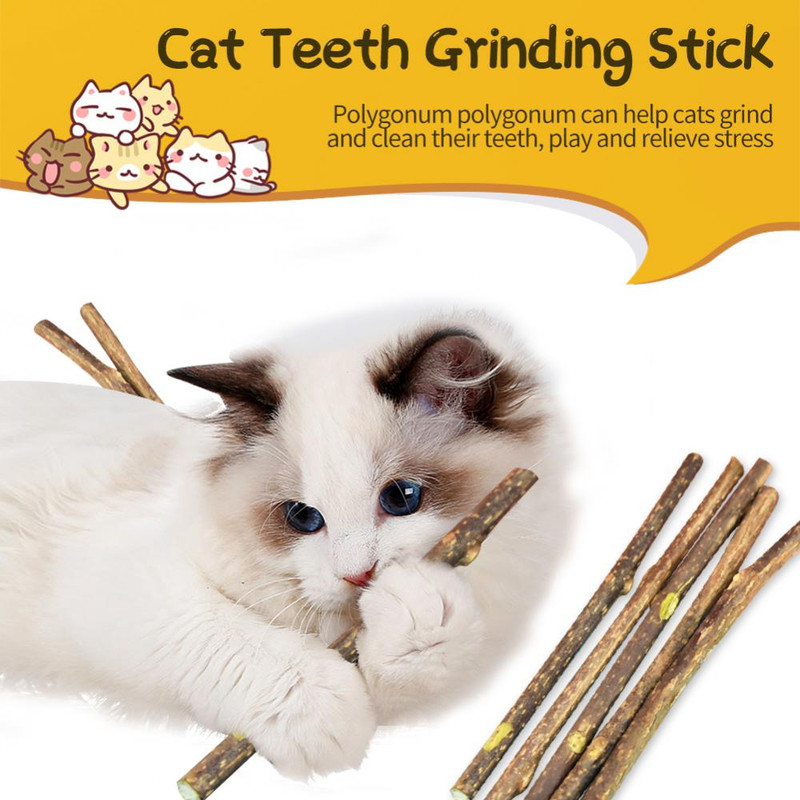 Cj1y5-25-50PCS-Natural-Matatabi-Cat-Stick-Mint-Caught-Bite-Excited-Rods-Silvervine-For-Cat-Teeth.jpg