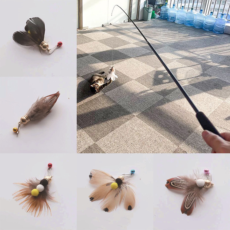 qfRRFish-Rod-Shape-Cat-Teaser-Stick-and-Insect-Bait-Funny-Kitten-Interactive-Toys-Pet-Accessories-for.jpg