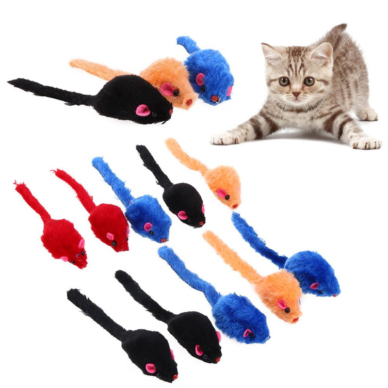tOJ810pcs-lot-Mini-Colorful-Cat-Toys-Plush-False-Mouse-Toys-for-Cats-Kitten-Animal-Funny-Playing.jpg