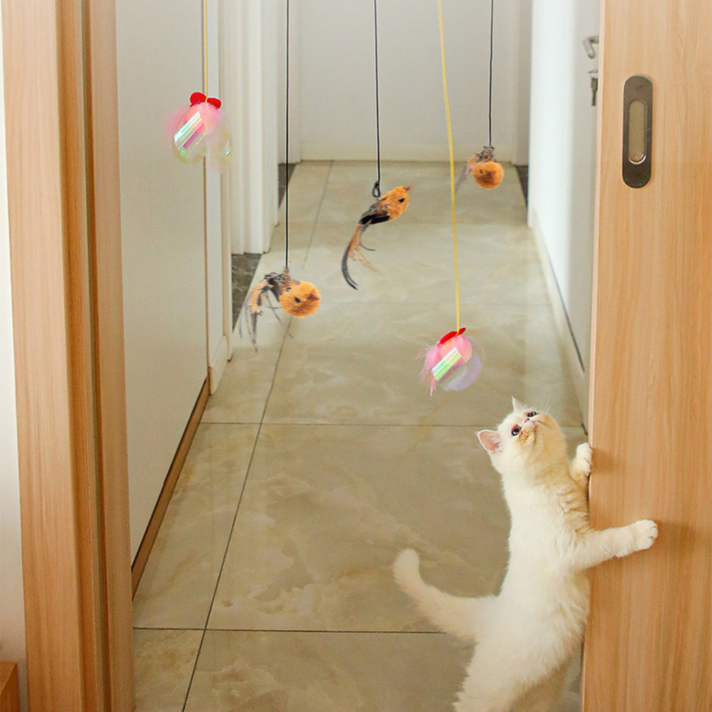 oY9WSimulation-bird-Cat-Toy-Retractable-Hanging-Door-Type-Cat-Scratch-Rope-Mouse-Funny-Self-hey-Interactive.jpg