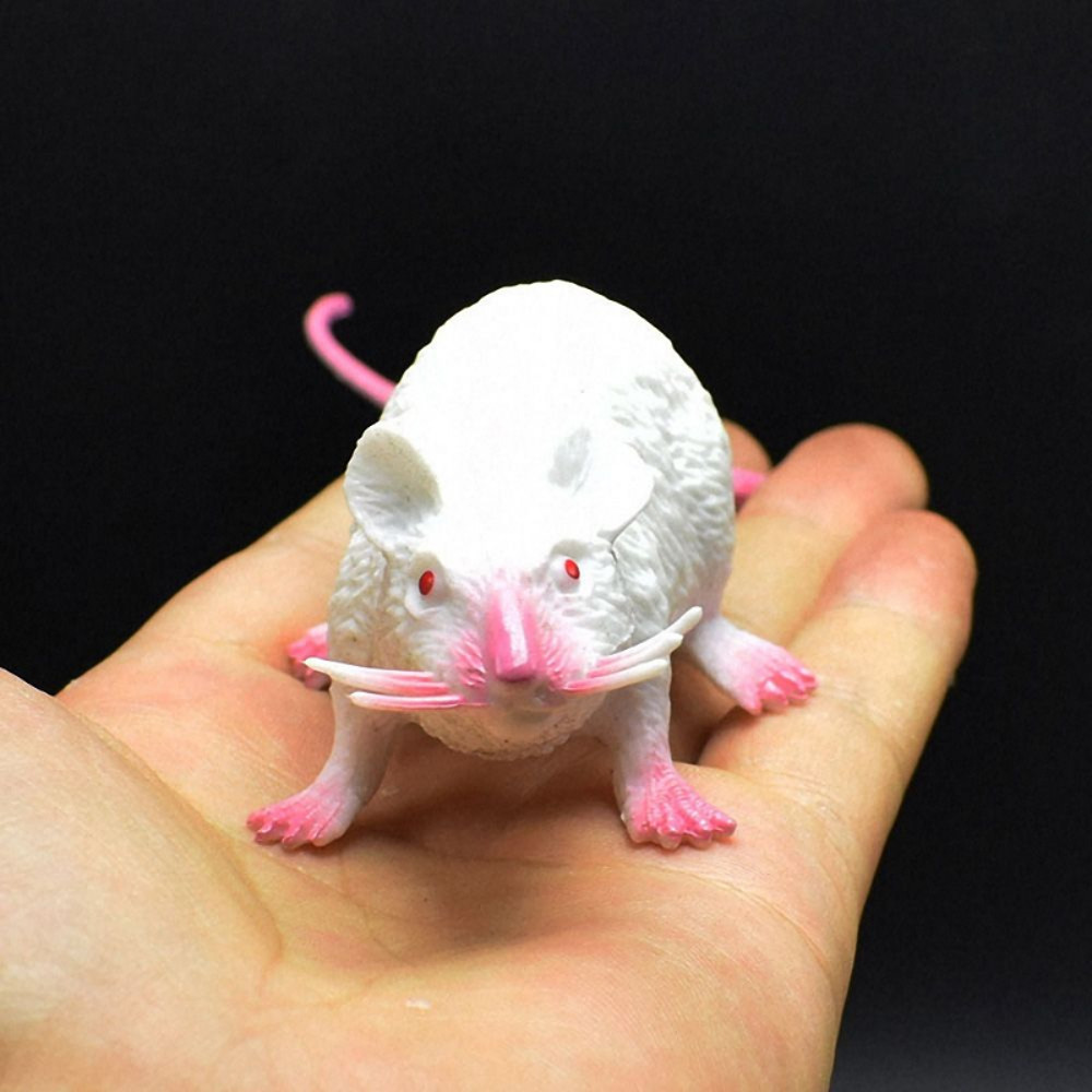 XO2vFake-Small-Rat-Lifelike-Mouse-Model-Prop-Scary-Trick-Prank-Toy-Horror-Halloween-Party-Decor-Practical.jpg
