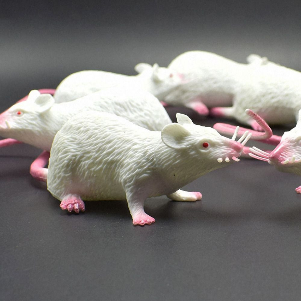 WitWFake-Small-Rat-Lifelike-Mouse-Model-Prop-Scary-Trick-Prank-Toy-Horror-Halloween-Party-Decor-Practical.jpg