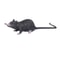 qm39Fake-Small-Rat-Lifelike-Mouse-Model-Prop-Scary-Trick-Prank-Toy-Horror-Halloween-Party-Decor-Practical.jpg