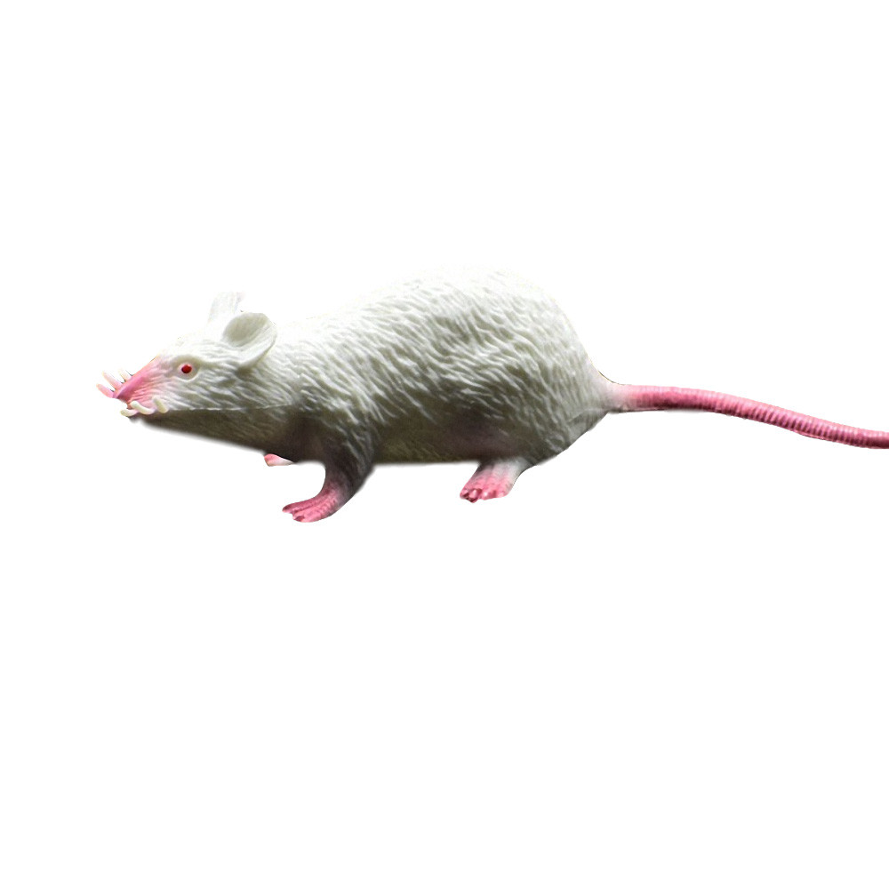 zhLwFake-Small-Rat-Lifelike-Mouse-Model-Prop-Scary-Trick-Prank-Toy-Horror-Halloween-Party-Decor-Practical.jpg