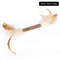 sj7CChasing-Game-Toy-Cat-Mint-Healthy-Safety-Mixed-Multicolor-Wooden-Polygonum-Catnip-Cat-Tooth-Grinding-Rod.jpg