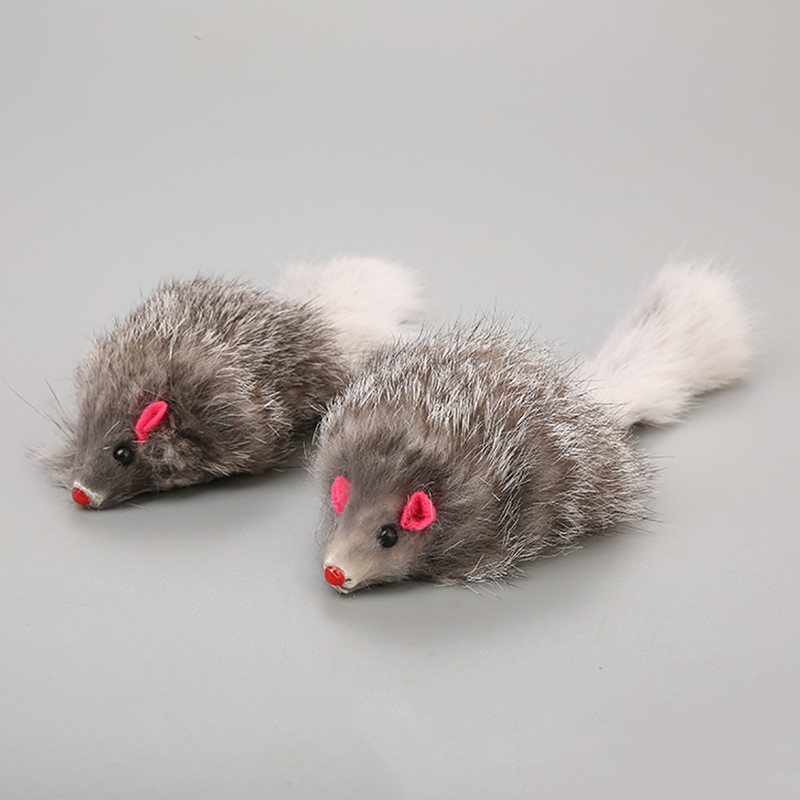 YxhD5pcs-Furry-Plush-Cat-Toy-Soft-Solid-Interactive-Mice-Mouse-Toys-For-Cats-Funny-Kitten-Toy.jpg