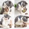 QN1J2023-Pet-toy-training-agility-flying-saucer-ball-teething-toy-chew-interactive-You-can-choose-from.jpg