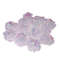 Z85M12Pcs-Cat-Mylar-Crinkle-Balls-Cat-Toy-Interactive-Sound-Ball-Big-Plastic-Balls-Crinkle-Crackle-Ring.jpg