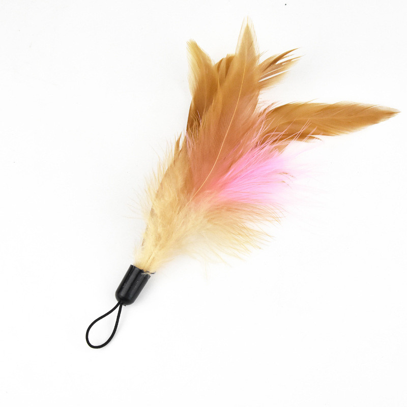 uOp490cm-Cat-Toys-Cat-Teaser-Wire-Fish-Funny-Cat-Rod-Fishing-Cat-Rod-Feather-Bell-Funny.jpg