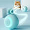 zTPJInteractive-Ball-Cat-Toys-Gravity-Ball-Smart-Touch-Sounding-Toys-Interactive-Squeak-Toys-Ball-Simulated-Call.jpg