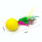 356G10pcs-Mixed-Funny-Plastic-Golf-Ball-with-Feather-Cat-Toy-Interactive-Kitten-Cat-Teaser-Ball-Toy.jpg