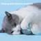 CucSCat-Interactive-Ball-Smart-Cat-Toys-Electronic-Interactive-Cat-Toy-Magic-Ball-Electronic-Interactive-Cat-Toy.jpg