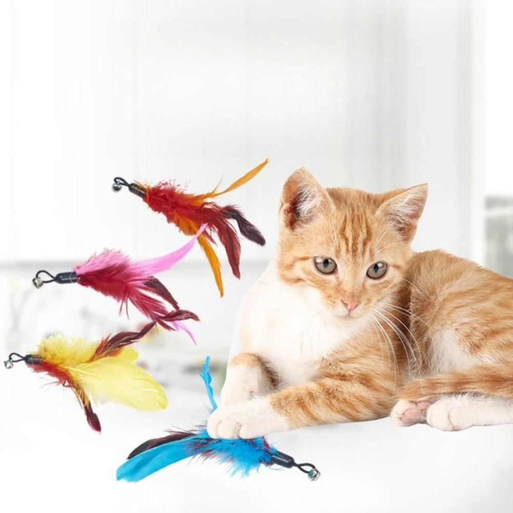 pvBlPet-cat-toy-feather-replacement-head-teasing-cat-rod-fishing-rod-caterpillar-teasing-cat-toy-set.jpg