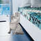 XyOJMassage-Pet-Brush-Corner-Scrape-Hair-Removal-Beauty-Clean-Corner-Brush-Removable.jpg