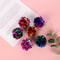XJYb10-Pack-5-5cm-Ringing-Paper-Ball-Pet-Cat-Toys-Interactive-Pet-Products-for-Kitten-Cat.jpg