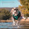 yZNYBite-Resistant-Solid-Dog-Ball-Toys-for-Small-Large-Dogs-High-Elasticity-E-TPU-Pet-Chew.jpg