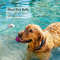 LZklBite-Resistant-Solid-Dog-Ball-Toys-for-Small-Large-Dogs-High-Elasticity-E-TPU-Pet-Chew.jpg