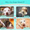 aawuBite-Resistant-Solid-Dog-Ball-Toys-for-Small-Large-Dogs-High-Elasticity-E-TPU-Pet-Chew.jpg
