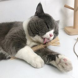 natural matatabi catnip toys: promote digestion, clean teeth, remove hair - silvervine kitten chew stick