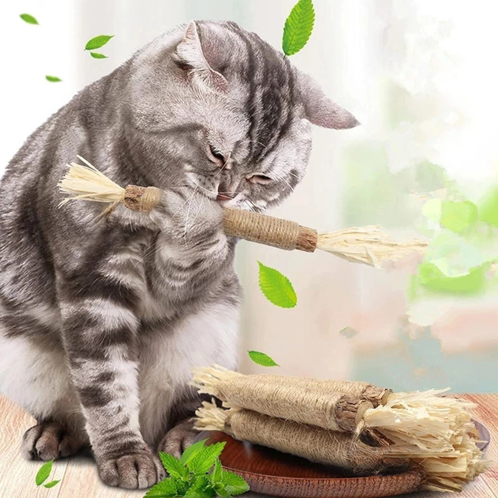SvsWCatnip-Cat-Toys-Natural-Matatabi-Pet-Cat-Snacks-Stick-Cleans-Tooth-Removers-Hair-to-Promote-Digestion.jpg