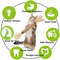 6RvVCatnip-Cat-Toys-Natural-Matatabi-Pet-Cat-Snacks-Stick-Cleans-Tooth-Removers-Hair-to-Promote-Digestion.jpg