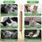 QrSZCatnip-Cat-Toys-Natural-Matatabi-Pet-Cat-Snacks-Stick-Cleans-Tooth-Removers-Hair-to-Promote-Digestion.jpg