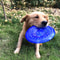 lxnFFunny-Soft-Rubber-Pet-Dog-Flying-Discs-Saucer-Toys-Small-Medium-Large-Dog-Puppy-Agile-Training.jpg