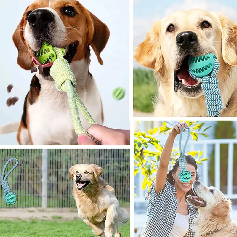0I8NDog-Ball-Toy-with-Rope-Interactive-Leaking-Balls-for-Small-Large-Dogs-Bite-Resistant-Chew-Toys.jpg