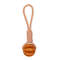 lJJSDog-Ball-Toy-with-Rope-Interactive-Leaking-Balls-for-Small-Large-Dogs-Bite-Resistant-Chew-Toys.jpg