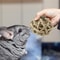 qOqUBig-Discoun-t-Natural-Straw-Ball-Small-Pet-Chewing-Toy-Pet-Playing-Rabbit-Hamster-Chewing-Toy.jpg