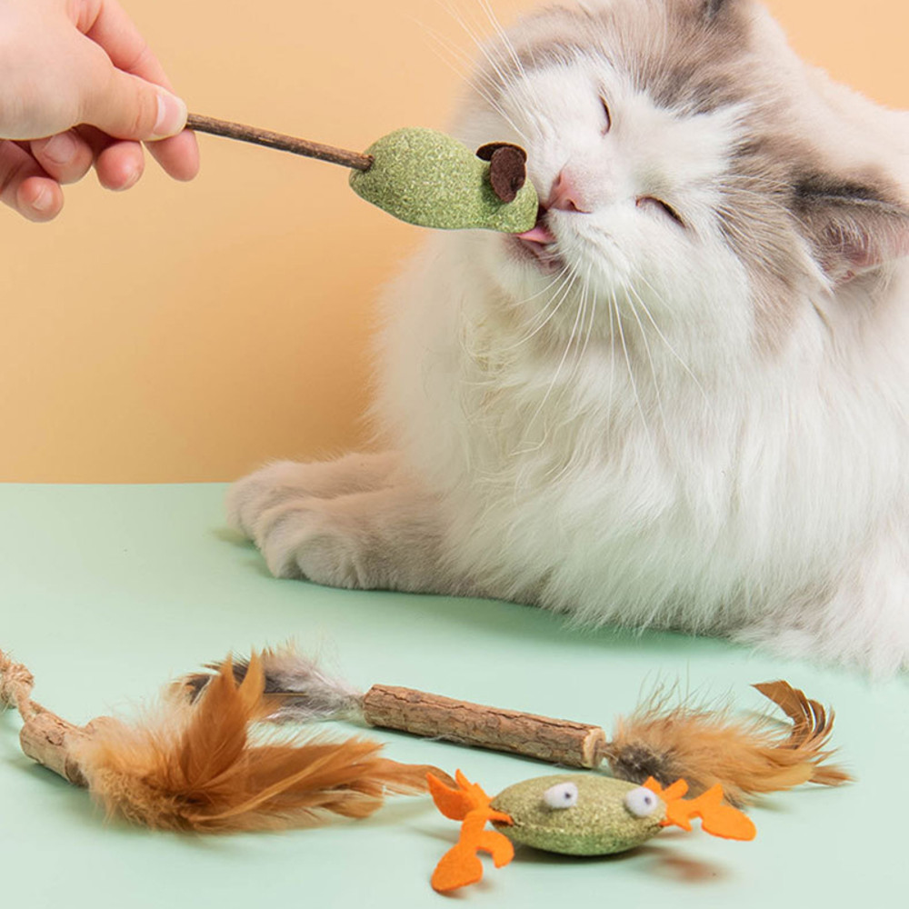 gom2Catnip-Cat-Grass-Chew-Toy-To-Remove-Hair-Ball-Molar-Rod-Mouse-Chicken-Feather-Edible-Cat.jpg