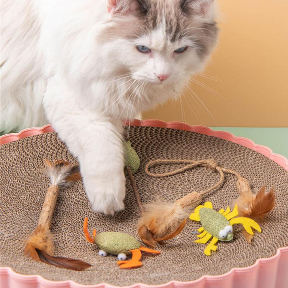 BokcCatnip-Cat-Grass-Chew-Toy-To-Remove-Hair-Ball-Molar-Rod-Mouse-Chicken-Feather-Edible-Cat.jpg