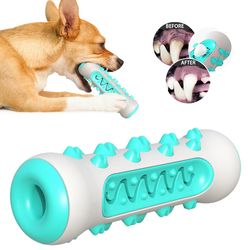 Puppy Dental Care: Safe Chew Toys for Teeth Cleaning