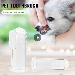 Soft Pet Toothbrushes & Care Tools: Cat Cleaning Supplies
