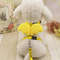 lja2Pet-Harness-with-Angel-Wing-Small-Pet-Dog-Rabbit-Cat-Chest-Set-Cute-Collar-Safety-Belt.jpg