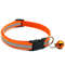 UA6KReflective-Nylon-Dog-Collar-Night-Safety-Flashing-Light-Up-Adjustable-Dog-Leash-Pet-Collar-for-Cats.jpg