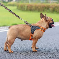 Adjustable Reflective Nylon Mesh Dog Harness & Leash Set