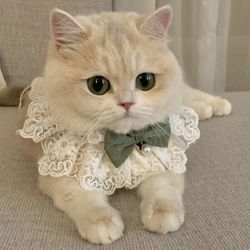 Pearl Dog Collar & Jeweled Silk Wedding Cat/Puppy Ribbon Scarf Pendant Pet Bows