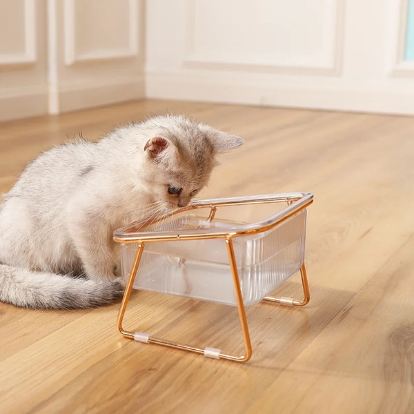 niOiCat-Double-Bowl-New-with-Stand-Pet-Kitten-Puppy-Transparent-Food-Feeding-Dish-Metal-Elevated-Water.jpg