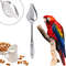 cDJO10ml-20ml-50ml-Parrot-Feeding-Syringe-Hose-Parrots-Bird-Feeders-Syringe-High-Quality-Bird-Feeder-Balcony.jpg