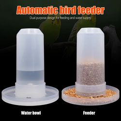 Automatic Quail Drinking Cup Fountain: Bird Feeder & Drinker Tray for Cage