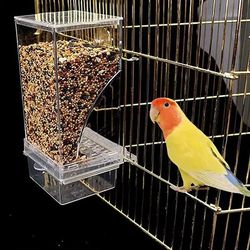 Automatic Parrot Feeder & Drinker: Acrylic Container for Small & Medium Parakeets
