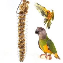 Stainless Steel Bird Parrot Feeder - Foraging Toy & Cage Equipment