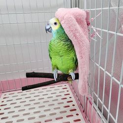 Winter Bird Shawl Nest Corner Parrot Blanket - Pet Cage