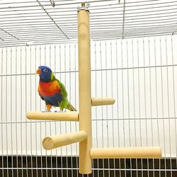 Wooden Rotating Ladder Toy for Pet Birds - Cage Accessories