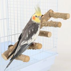 Natural Wood Parrot Perches & Toys: Climb Stand, Paw Grinding Fork, Branch Ladder