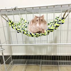Colorful Weave Pet Hammock Toy for Hamsters, Squirrels & Puppies