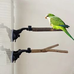 Parrot Cage Perch Toys: Natural Wood Training & Exercise Center