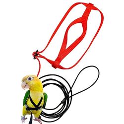 Colorful Hollow Rolling Bell Ball Bird Toy for Pet Parrots