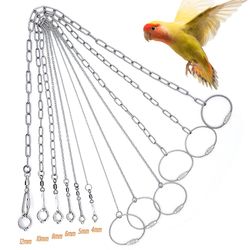 Stainless Steel Bird Parrot Foot Chain: Ankle Ring for Outdoor Flying Training & Accessories